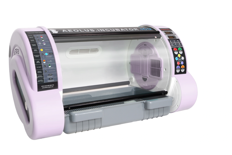 Dual-Stand Digital X-Ray System For Large Animal - DR System | IWA Medical
