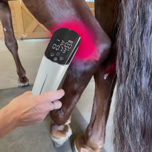 High Power 660nm Red Light Therapy