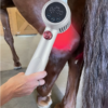 Equine Laser Therapy Machine