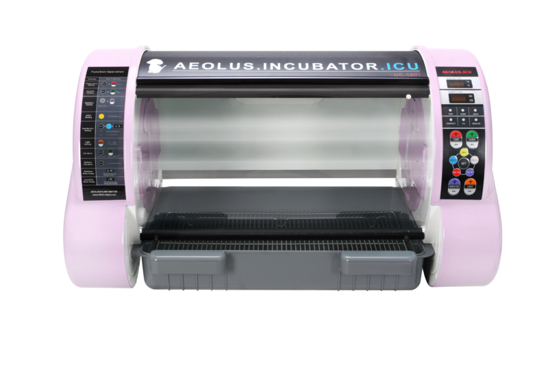 Dual-Stand Digital X-Ray System For Large Animal - DR System | IWA Medical