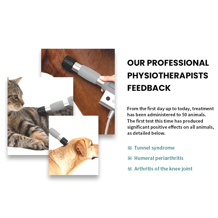 High Performance Shockwave Therapy Machine