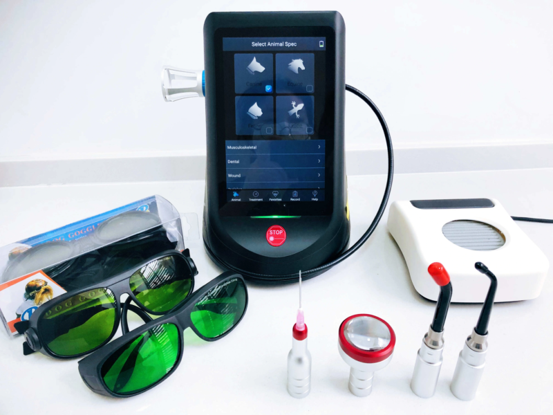 Laser Therapy Machine