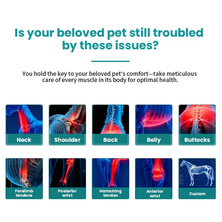 High Performance Shockwave Therapy Machine