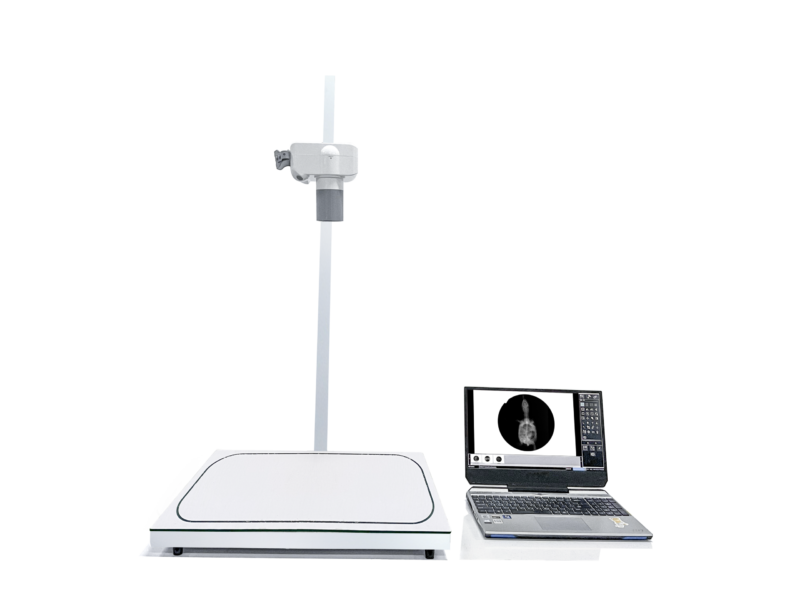 Mini DR System iFlex-mini