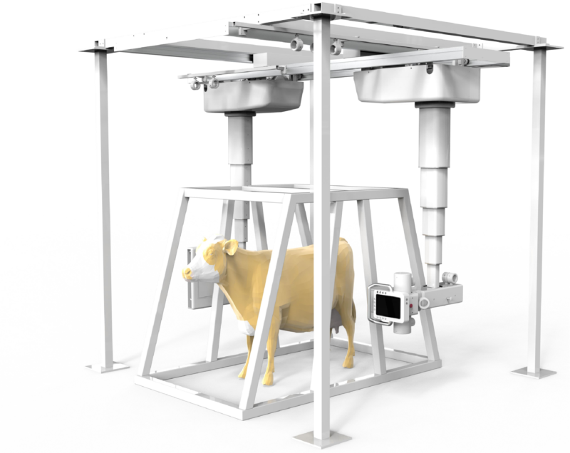 Dual-Stand Digital X-Ray System For Large Animal