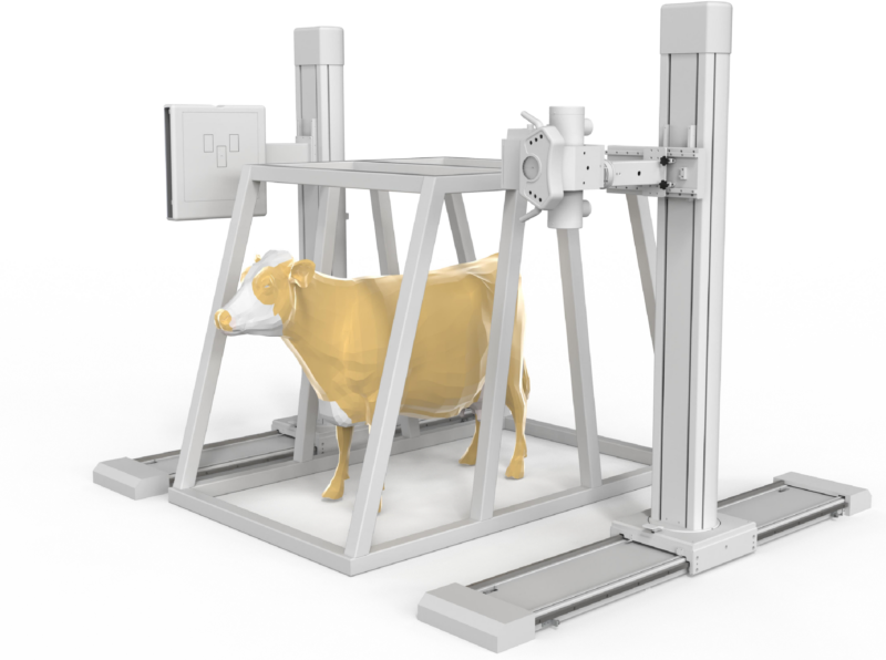 Dual-Stand Digital X-Ray System For Large Animal