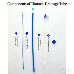 Animal Thoracoabdominal Effusion Drainage Catheter