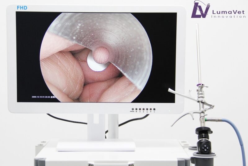 UHD veterinary endoscope camera for nose/arthroscopy/hysteroscopy/spine