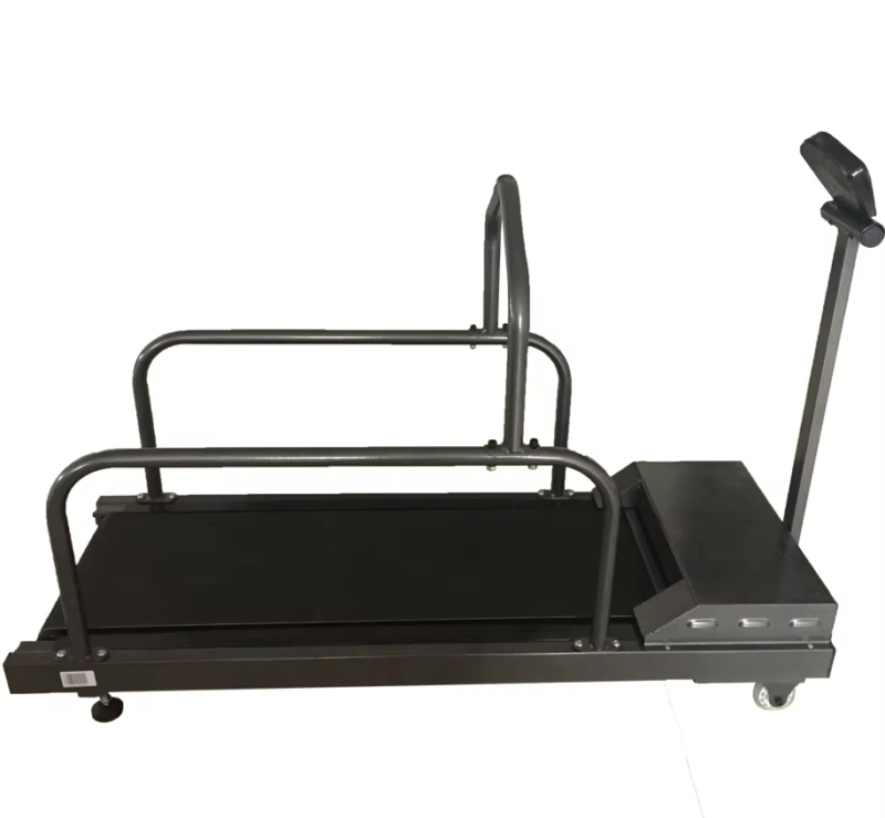 IWA-PT01 Professional Pet Treadmill