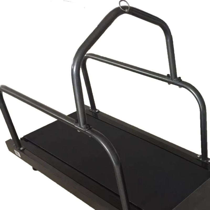 IWA-PT01 Professional Pet Treadmill