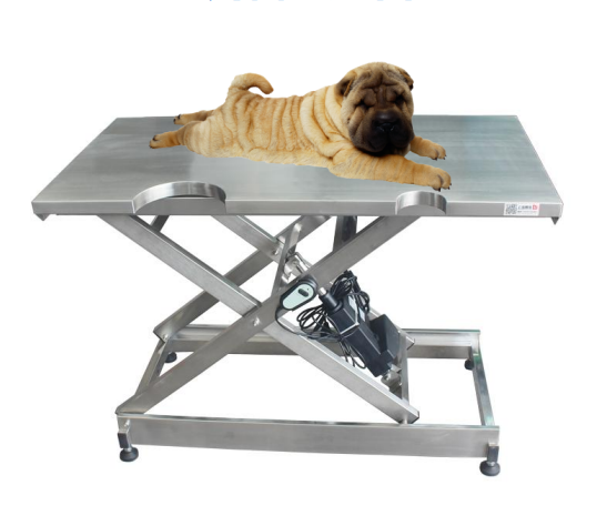 Veterinary Stainless Steel Ultrasound Examination Table