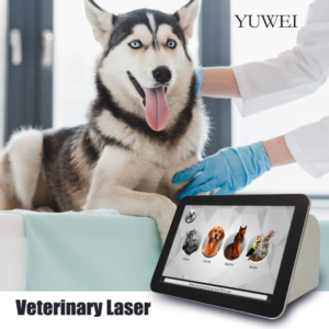 疼痛治疗兽医手术激光器 15WW 980nm 三类 CE 认证理疗设备 使用寿命长_