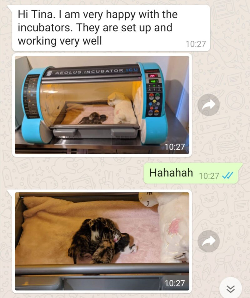 重症监护病房 (ICU) 宠物孵化器兽医孵化器狗猫兔