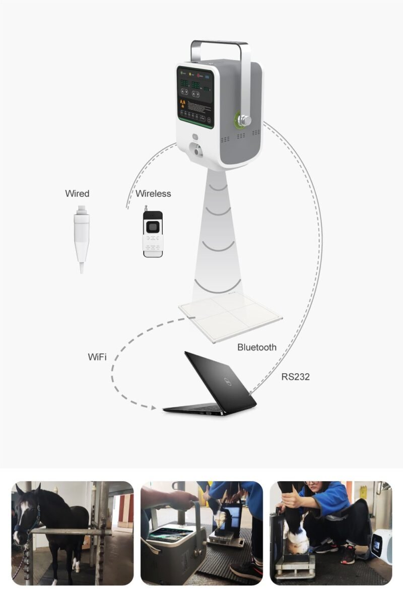 iflex-1.6-gallery-02 IFLEX-1.6 Veterinary Equine Portable X-Ray Unit (1.6 kW)