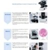 Olympus CX23 生物显微镜(双目+无线相机) (IWA-CX23B) - detail view 7