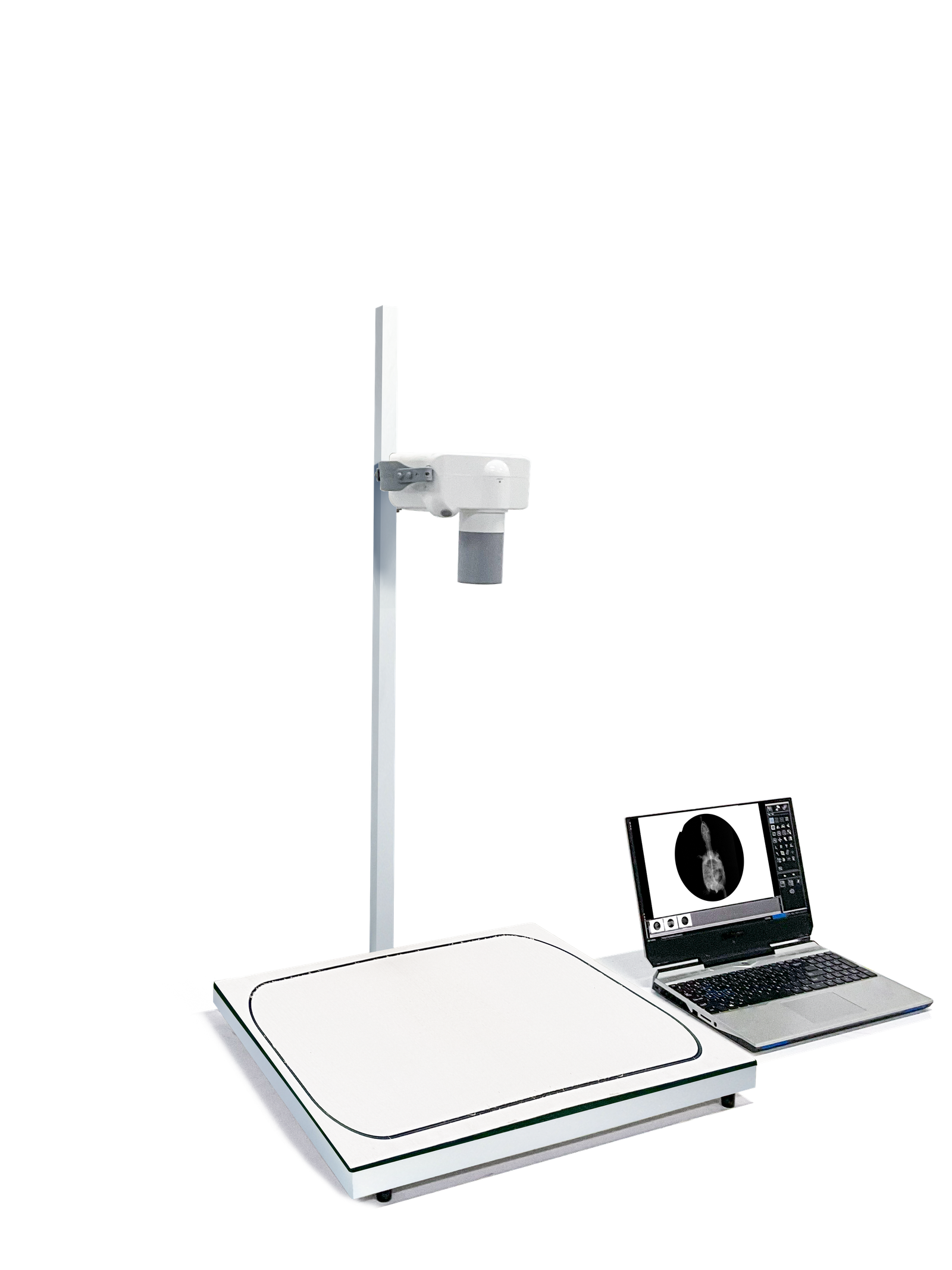 iFlex-mini in clinical context