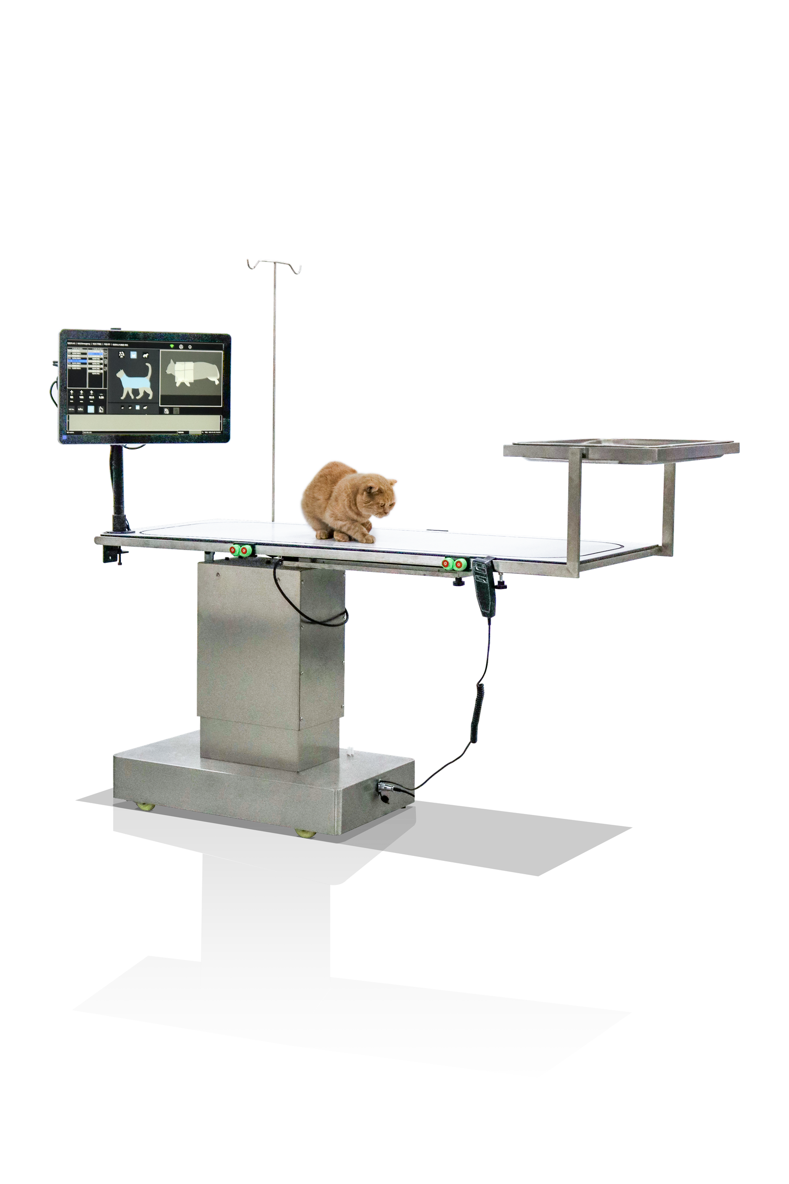 iToo-Sur surgical table — feline patient on the operating surface