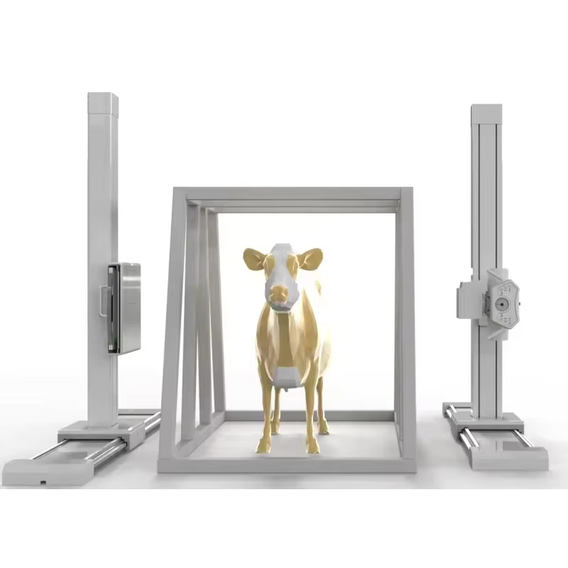 iVision-1000X Bovine-Clamp DR system — detail view