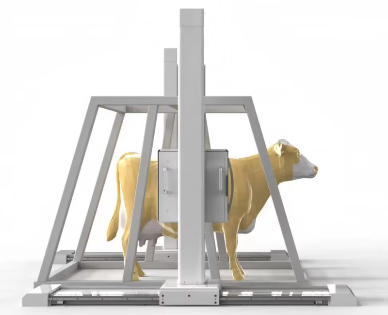 iVision-1000X Bovine-Clamp DR system — front view with bo... iVision-1000X Bovine-Clamp DR system — front view with bovine patient in clamp frame