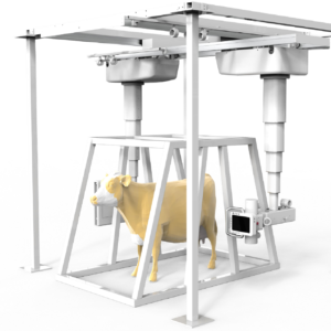 iVision-1000X Dual-Tower ceiling-mounted DR system — overhead suspended tube heads over bovine patient