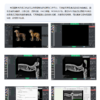IWA-FP13 VetDXRay imaging software interface — veterinary... IWA-FP13 VetDXRay imaging software interface — veterinary workstation