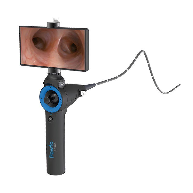IWA-HD3 portable veterinary electronic endoscope - handheld unit with integrated touchscreen, articulating cable and ergonomic handle