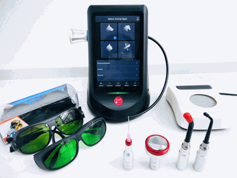 IWA-LAS10 Class IV veterinary laser therapy system — full kit with handpieces, safety glasses, foot switch, and treatment fiber