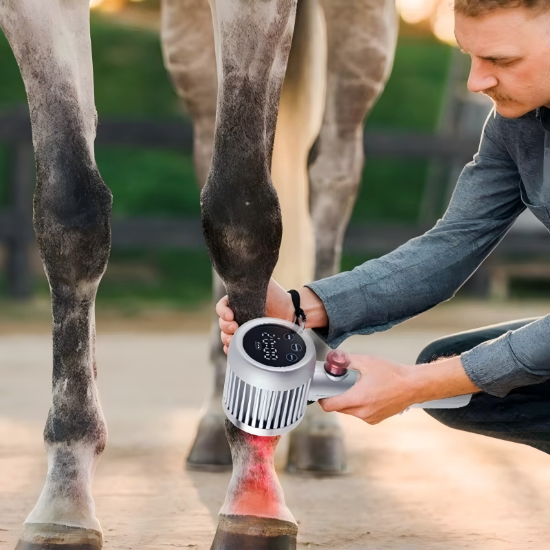 IWA-LAS20 in clinical use on equine fetlock