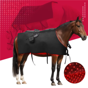 IWA-RLT10 wireless equine red light therapy blanket worn by horse — full back coverage