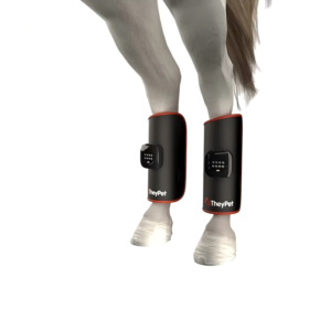 IWA-RLT20 flexible LED equine therapy pads worn on horse legs