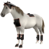 IWA-RLT30 — equine red light therapy system combining hoof pads, leg pads, and body pads
