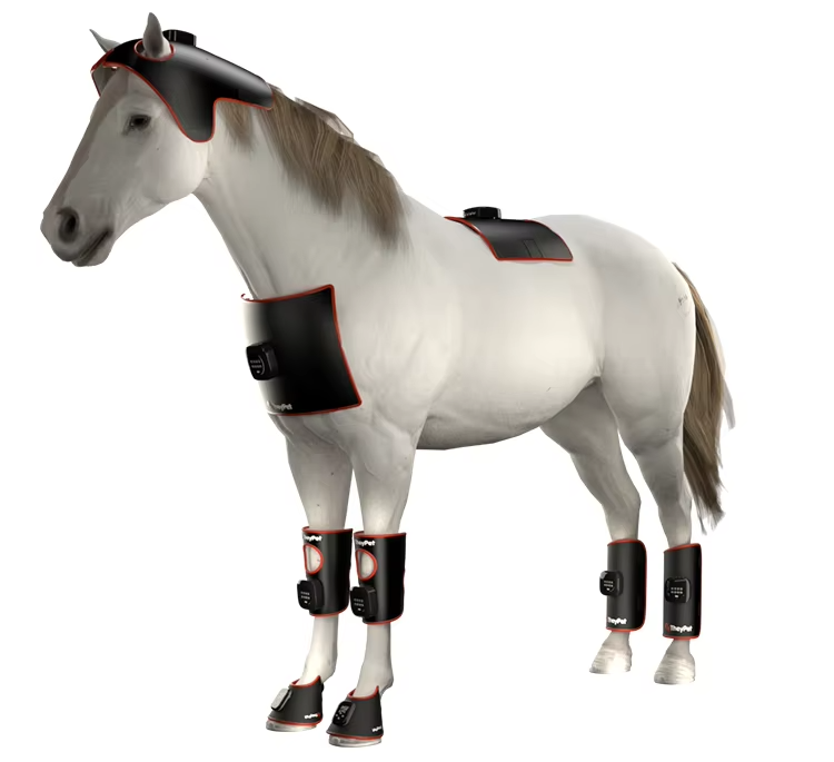 IWA-RLT30 as part of equine red light therapy system — hoof + leg + body pads