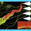IWA-RLT40 — illustration of cellular response to 660 nm and IWA-RLT40 — illustration of cellular response to 660 nm and 850 nm photobiomodulation
