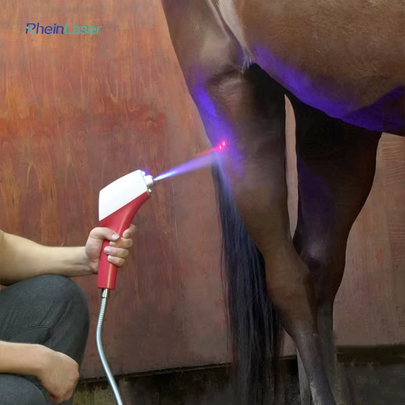 IWA-SCT10 portable CO₂ cryotherapy gun applied to equine hindquarters