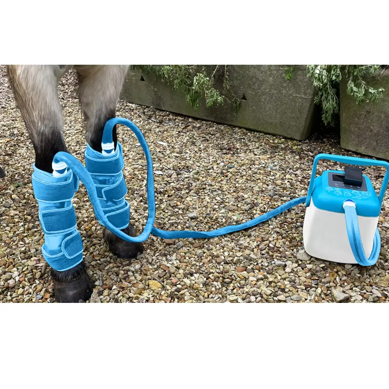 IWA-SCT20 air compression cold therapy on equine front legs in the yard