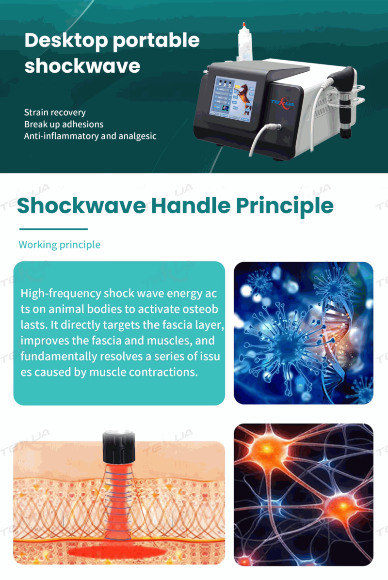 IWA-SWT10 desktop portable shockwave — working principle, fascia and muscle targeting
