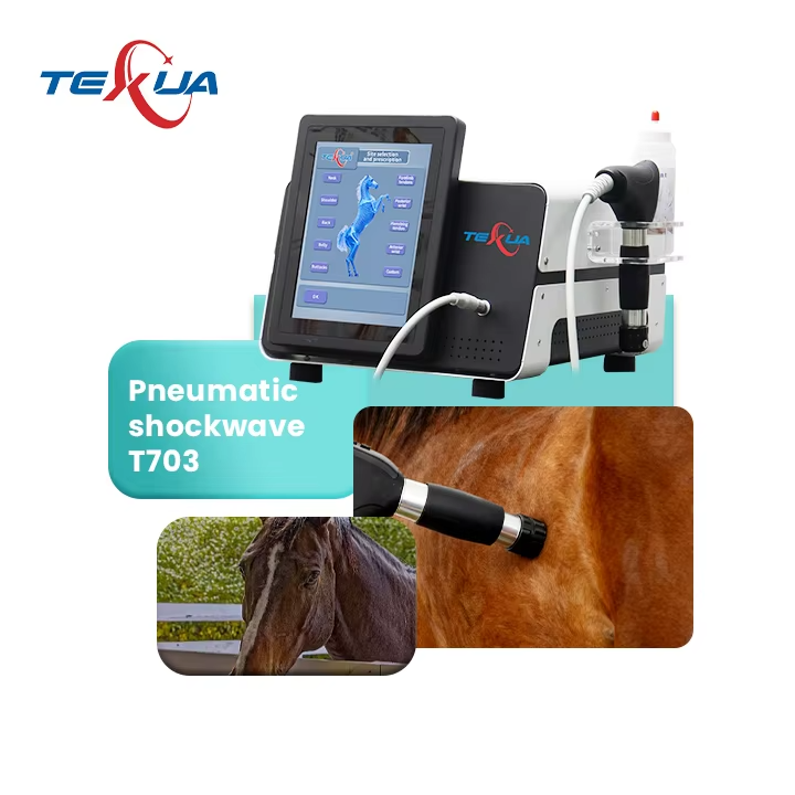 IWA-SWT10 pneumatic shockwave system — equine treatment application