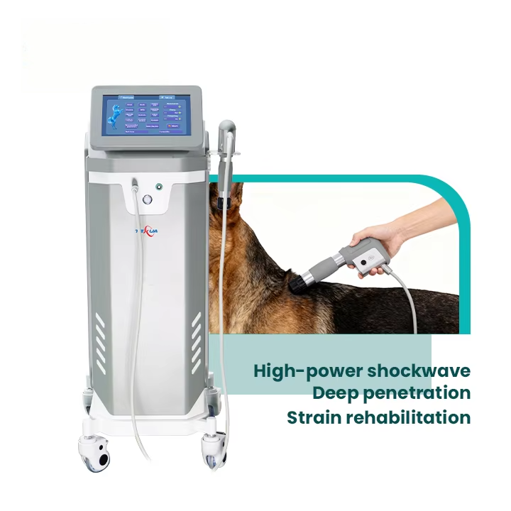 IWA-SWT20 High-Performance Mobile Veterinary Shockwave Therapy Station — view 02
