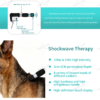 IWA-SWT30 shockwave handle — 10 Bar / 21 Hz high-intensit... IWA-SWT30 shockwave handle — 10 Bar / 21 Hz high-intensity, 2-6 cm penetration depth, high-hardness gun barrel