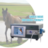 IWA-SWT30 compact desktop pneumatic equine shockwave ther... IWA-SWT30 compact desktop pneumatic equine shockwave therapy machine — clinical setting with horse