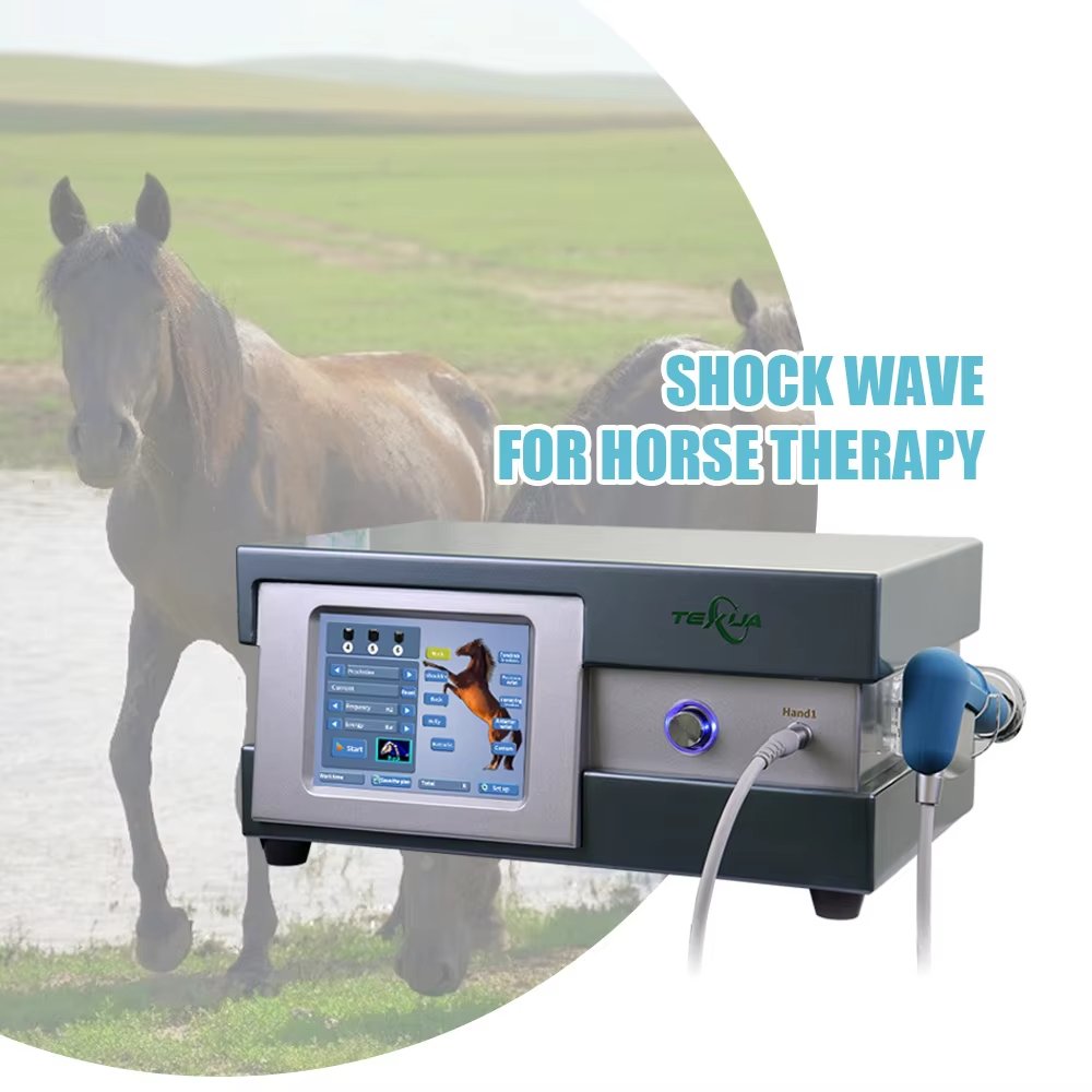 IWA-SWT30 Compact Desktop Pneumatic Equine Shockwave Therapy Machine