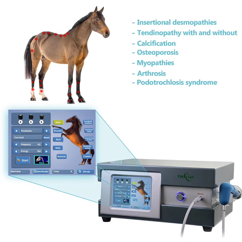 IWA-SWT30 Compact Desktop Pneumatic Equine Shockwave Therapy Machine — indications