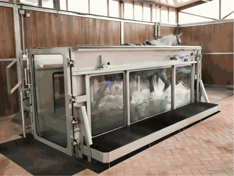 IWA-TM10 equine underwater treadmill — full unit with slidin IWA-TM10 equine underwater treadmill — full unit with sliding doors, viewing windows, and integrated platform