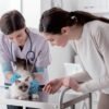 IWA-IP10 Veterinary Infusion Pump (1200 ml/h, 10h Battery)