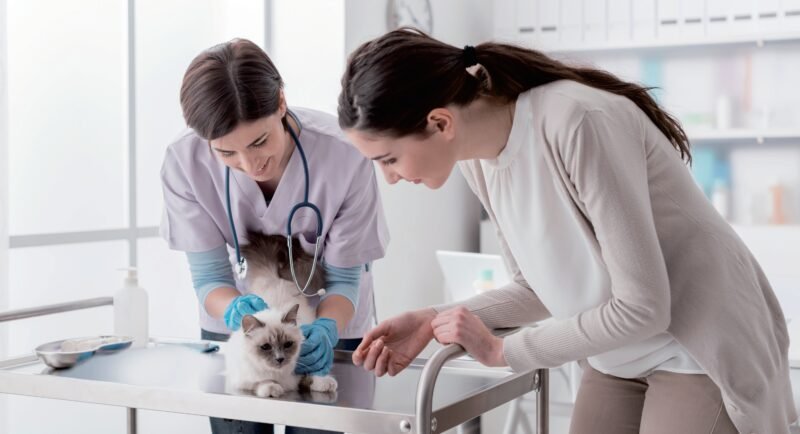 IWA-IP10 Veterinary Infusion Pump (1200 ml/h, 10h Battery)