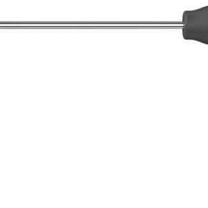 IWA-HD60 Portable Veterinary Rigid Endoscope (200 MP / 4K)
