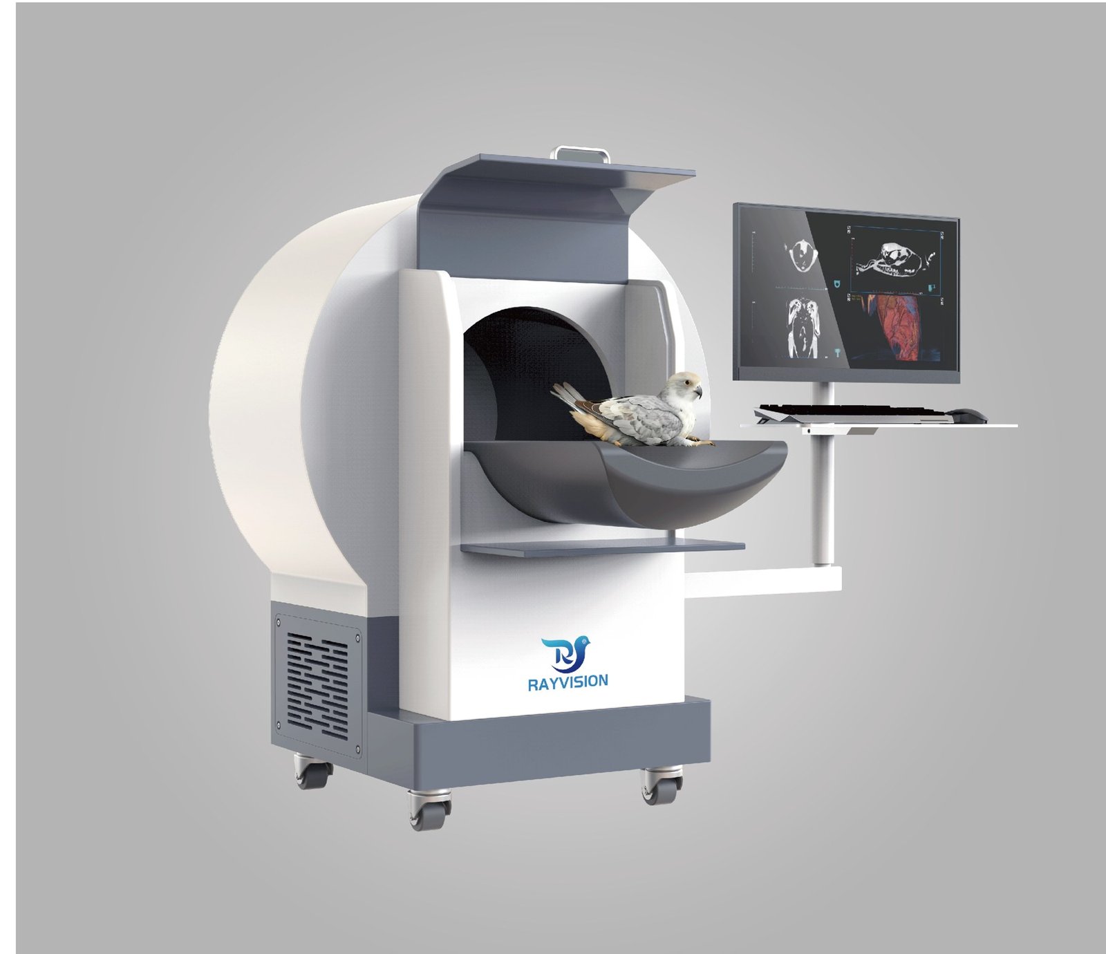 Micro50 mobile exotic-animal cone-beam CT with machine-side display