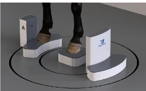 Equine limb positioned on the footpad for standing acquisition