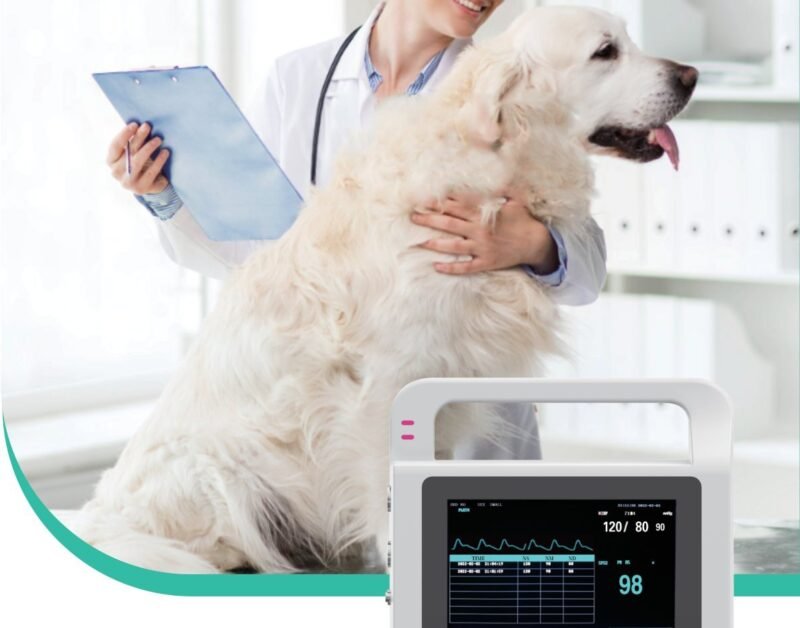 VE5 vital signs monitor on the examination table beside a canine patient in a veterinary consulting room