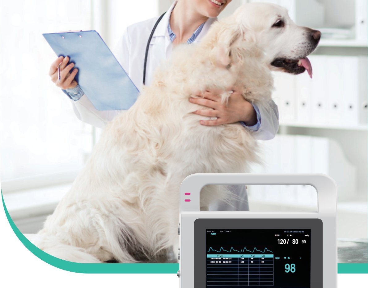 VE5 vital signs monitor on the examination table beside a canine patient in a veterinary consulting room